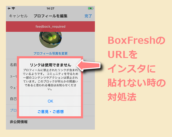 できない ボックス フレッシュ 質問 「BoxFresh」の質問の回答の方法は？できないときは？