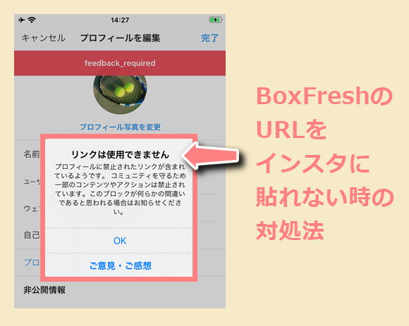 Boxfreshのurl リンク をインスタに貼れない時の対処法 世界一やさしいアプリの使い方ガイド