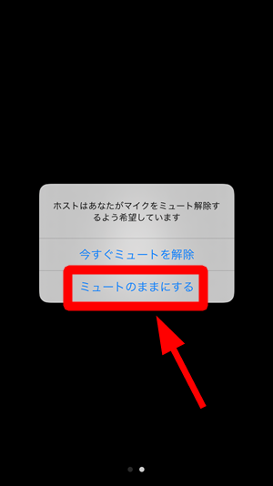 Zoomで勝手にミュートが解除されるパターンと防ぐ方法 世界一やさしいアプリの使い方ガイド