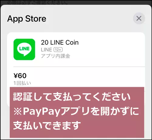 PayPayでの支払い完了画面